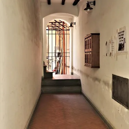 Vicolo Del Cinque App *